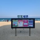 늘목장 | 당일치기 강릉여행편(안목해변-커피거리)