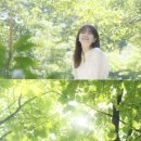 산책비디오 이미지