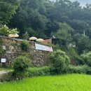 가랑잎새 이미지