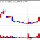 (주)닥터브릿지 이미지