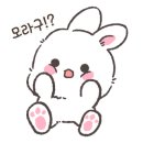 네일 레 비쥬