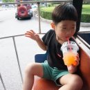 패밀리공원 이미지