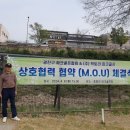 상호협력업무협약(MOU) 체결식 이미지