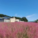 제천시농업기술센터 이미지