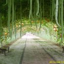 미르피아 이미지