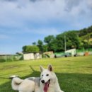 명창식당 이미지