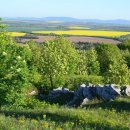 강릉독채풀빌라보늬펜션 이미지