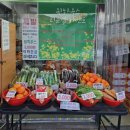 신우청과