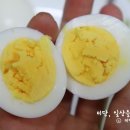 우촌농장 이미지