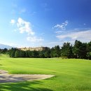 대우카프라자 이미지