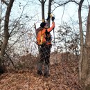 군자 사슴농원 이미지