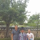 신관용류가야금산조 이미지