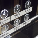 아레나피나