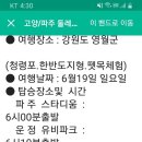 RE:고양파주 여행사 이미지