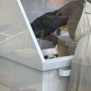 찌동찌동 이미지