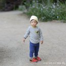 토종한우랑한돈 이미지