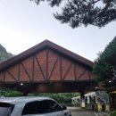 3202 | 여주인듯 경기도 양평에 있는 양평TPC 8월 1부 라운드 후기