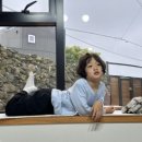 가라월라 이미지