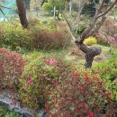 숲속그린펜션 이미지