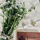 장곡농장 | [후기] 6월 넷째 주 🥗 &#39;홍성의료복지사협 우리동네의원 밥상 🏥