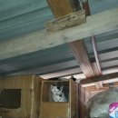 새로운방아간 이미지