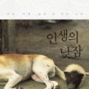 묘한인생 이미지