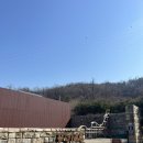 포마자동차디자인미술관 | 일산 아이와 가볼만한곳 FOMA 포마 자동차디자인미술관 방문