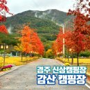경주신상캠핑장 감산470 단풍캠 우중캠핑후기