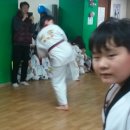 성환태권도 이미지