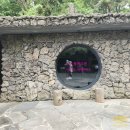 제주 가을의 황금빛 물결 억새가 장관인 산굼부리