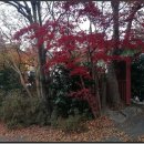 금광여관 이미지