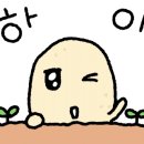 주안퍼스트병원 이미지