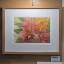 즐거운반딧불이 이미지