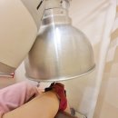 금충한의원 이미지