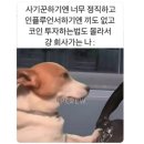 소미밥상 | 빙글빙글 돌아가는 소미의 한 달