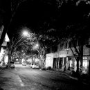 금일홍어 이미지