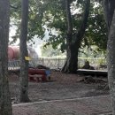 거제옥산숲 이미지