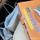 춤추는찹쌀도넛