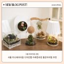 콘텐츠디자인랩 | 미니테라리움 디자인랩 수료증 실제 수강생 후기 과정안내