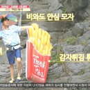 트립잇 티스토리