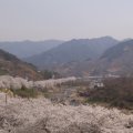 곡성-071 네이버블로그
