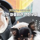 부천마을회관 이미지