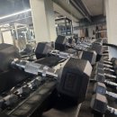 럭키휘트니스 이미지