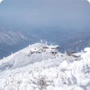 무주구름채풀빌라 | 무주 스키장 렌탈 가격 및 이용 과정 정리 및 <찐 후기>