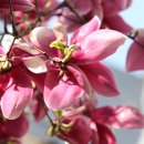 마차진해변 이미지