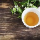 페퍼민트 이미지