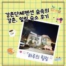 숲속의보아펜션 | 강촌펜션 숲속의 강촌, 가성비 좋은 춘천단체펜션 후기