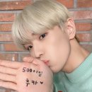 마할키타 이미지