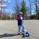 통큰딱다구리 이미지