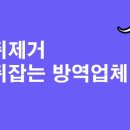 신곡지영유통 네이버블로그